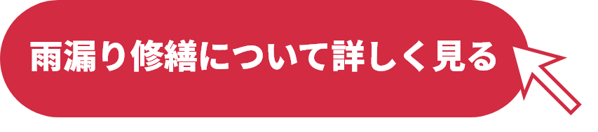 雨漏り修繕について詳しく見る