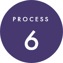 process6