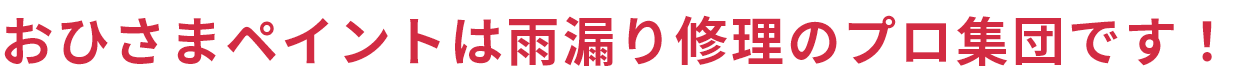 おひさまペイントは雨漏り修理のプロ集団です！